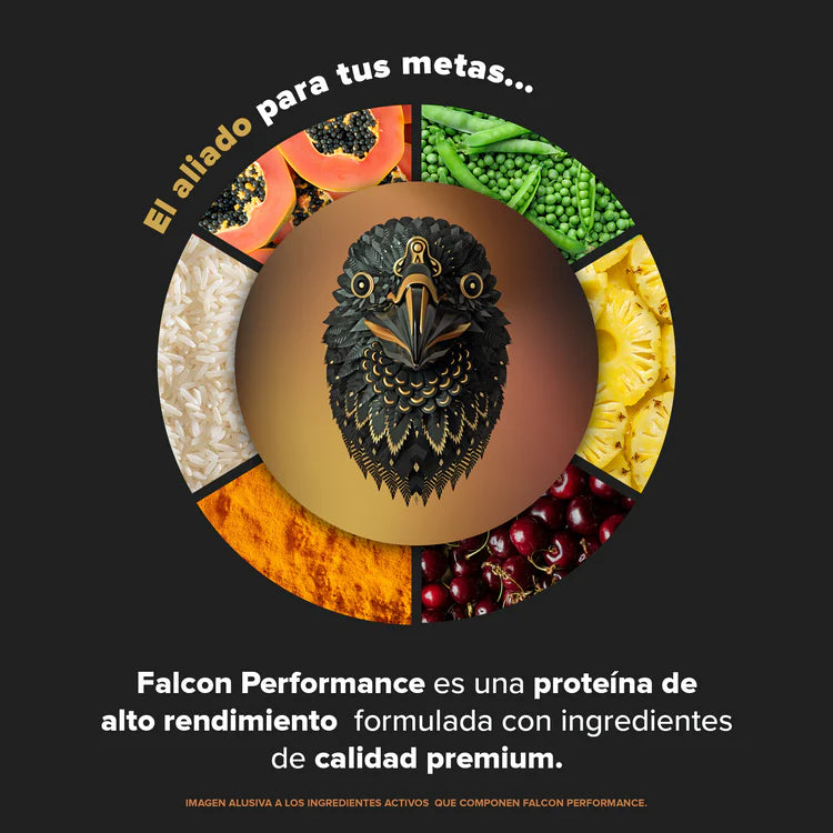 Falcon Performance Golden Vanilla 10 Pack Sobres
