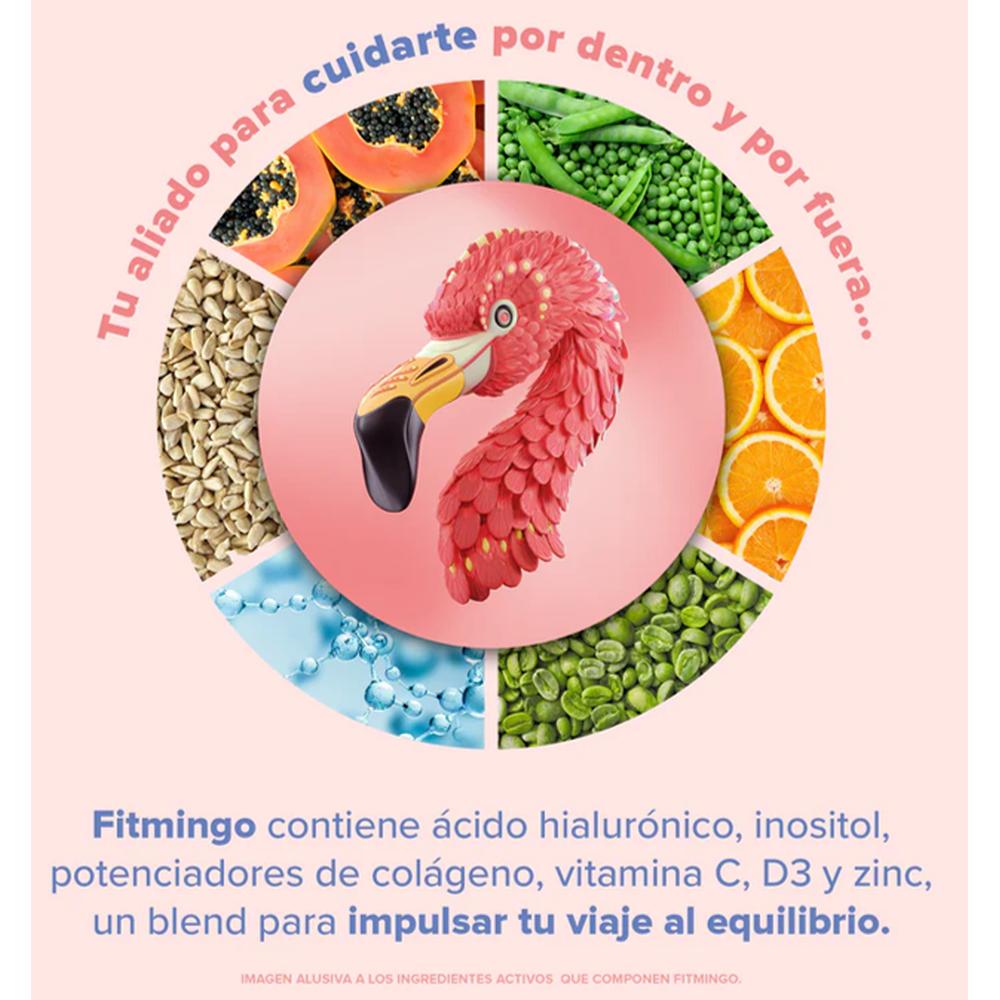 Fitmingo Protein Blueberry 1.7 kg