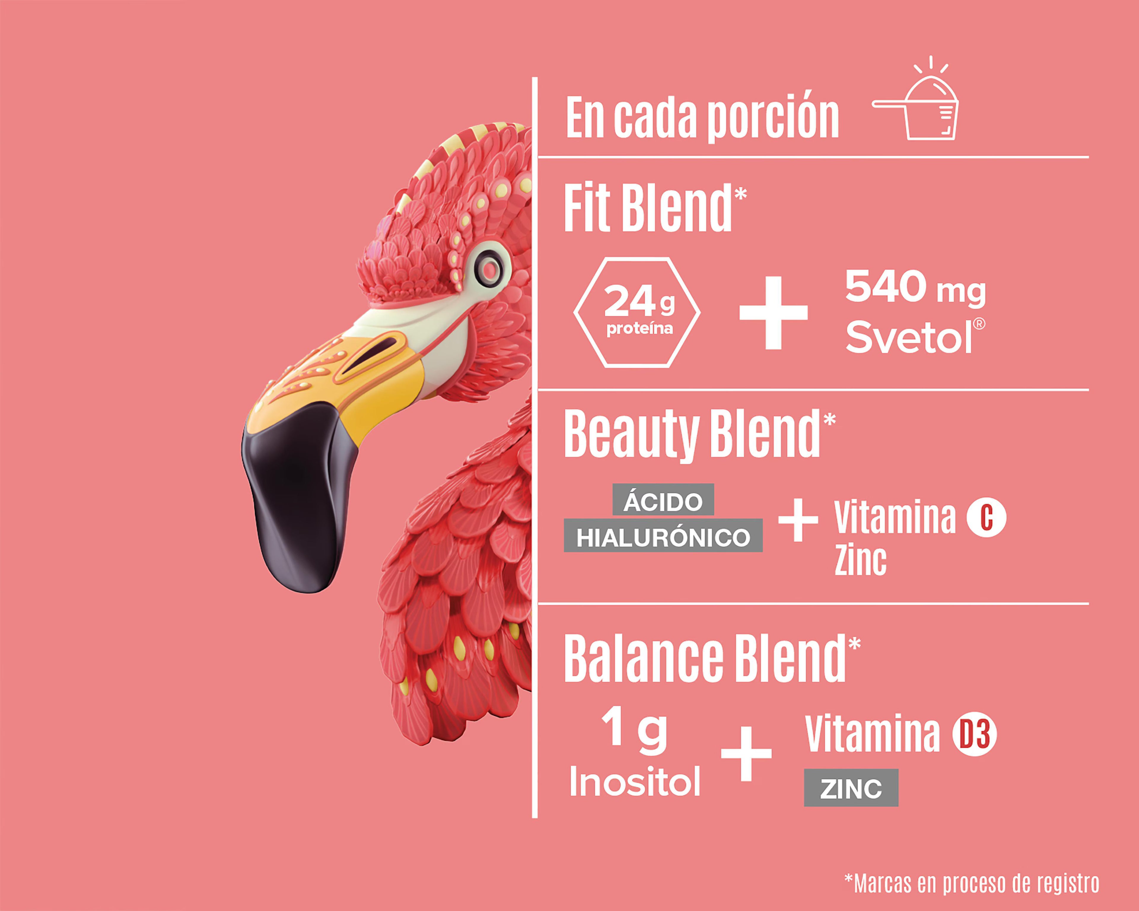 Fitmingo Protein Vainilla 510 g