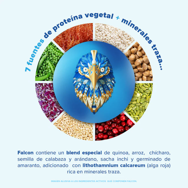 Falcon Protein Fresa 12 Pack Sobre